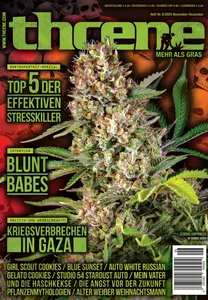 Thcene - November/Dezember 2025