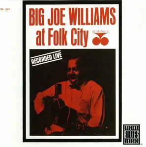 Big Joe Williams - At Folk City (1963) [Reissue 1995]