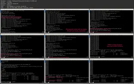 Inter-AS and Multicast MPLS VPNs