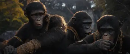 Kingdom of the Planet of the Apes (2024)