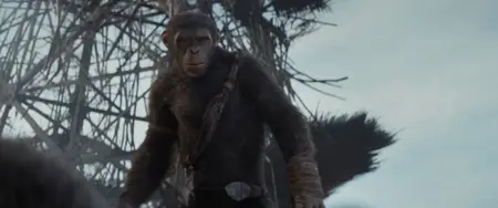 Kingdom of the Planet of the Apes (2024)