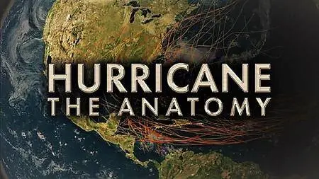 UKTV - Hurricane the Anatomy: Series 1 (2018)