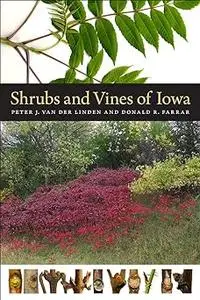 Shrubs and Vines of Iowa