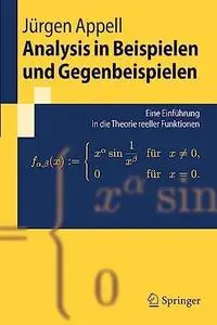 Analysis in Beispielen und Gegenbeispielen: Eine Einführung in die Theorie reeller Funktionen