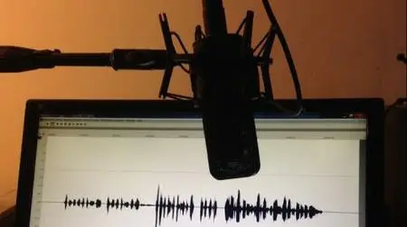 How To Make Money In The Voiceover Business