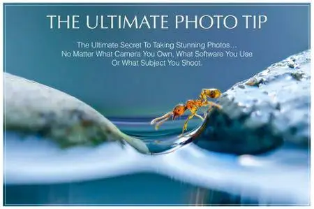 Extraordinary Vision – The Ultimate Photo Tip 2016