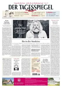 Der Tagesspiegel - 17 Juni 2015