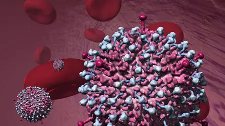 BBC Horizon - Why Do Viruses Kill? (2010)