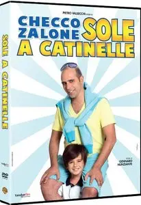 Sole a catinelle (2013)