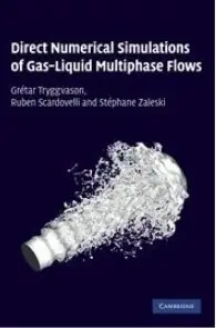 Direct Numerical Simulations of Gas-Liquid Multiphase Flows [Repost]