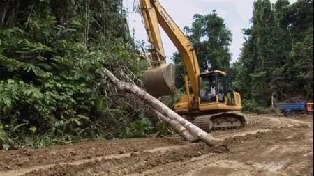 Uprooted: The Olympic Tribe (2021)