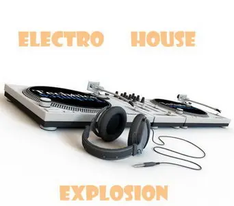 VA - Electro House Explosion (2009) 