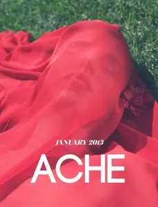 Ache - January 2013