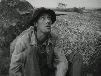 The Grapes of Wrath (1940)