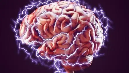 Neuroplasticity: Everything you need to know!