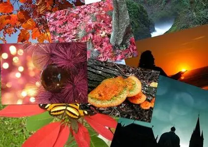 High Quality Wallpaper Club