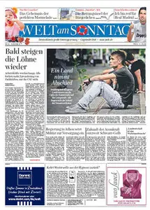 Die Welt am Sonntag 1 August 2010