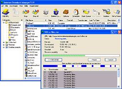 Tonec Internet Download Manager 5.05.3