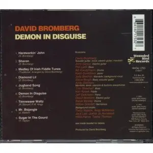 David Bromberg - Demon In Disguise  1972