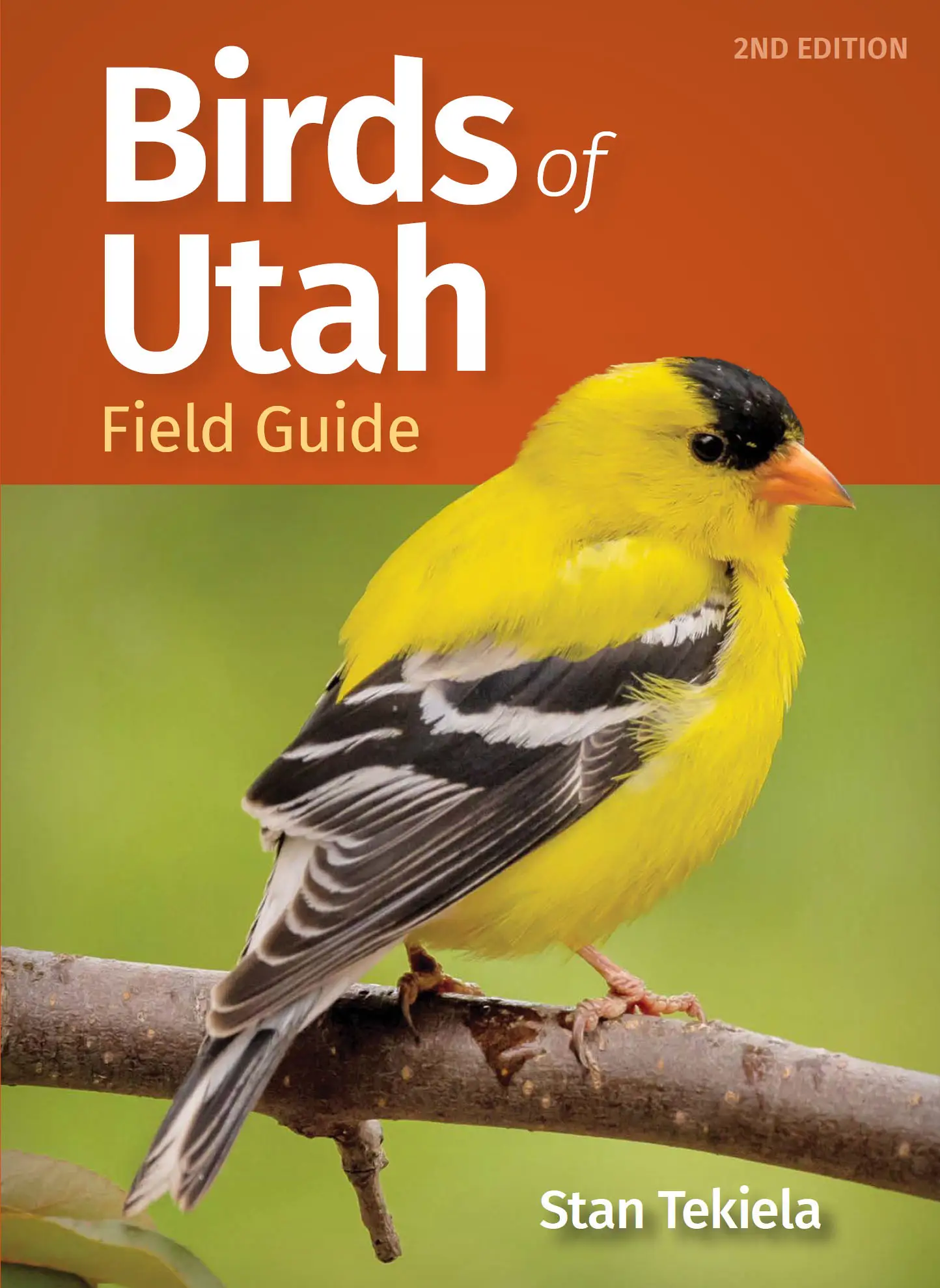 birds-of-utah-field-guide-bird-identification-guides-avaxhome