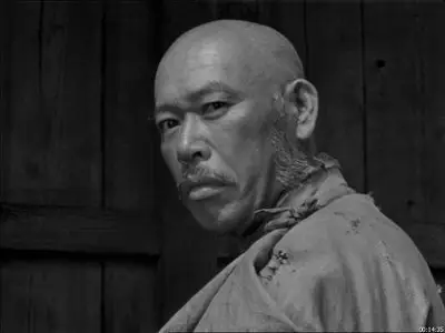 Shichinin no samurai / Die sieben Samurai [DVD9] (1954)