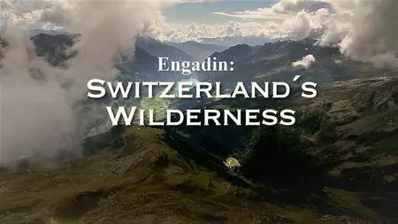 ORF - Engadin: Switzerland's Wilderness (2015)