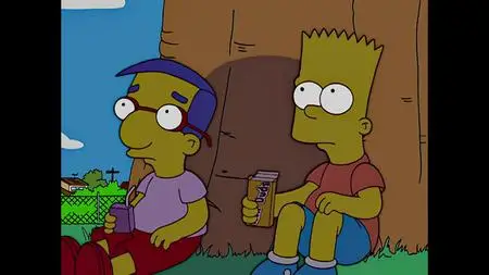 Die Simpsons S18E08
