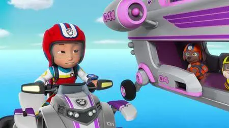 Paw Patrol S05E25