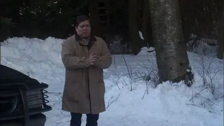 Frozen River (2008)