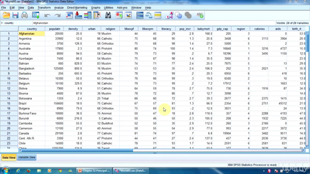 Udemy - SPSS for Research [repost]