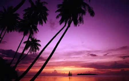 Wallpapers - Wide collection