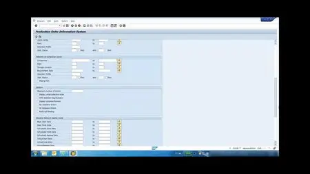 SAP Enterprise Resource Planning Fundamentals
