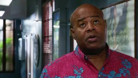 Hawaii Five-0 S08E22