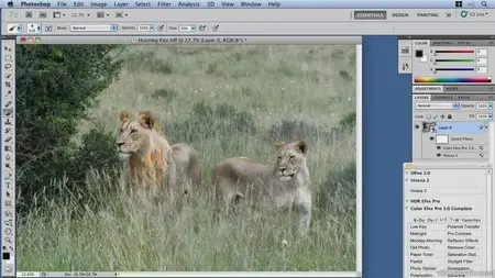 Video2Brain - HDR Efex Pro Workshop