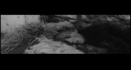 Andrei Rublev / Андрей Рублев (1966) [The Criterion Collection #34] [REPOST]