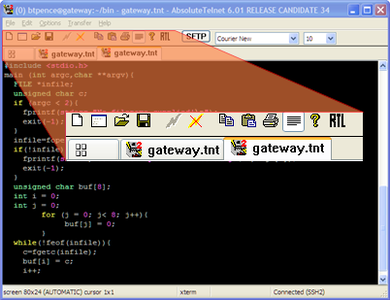 AbsoluteTelnet 6.12