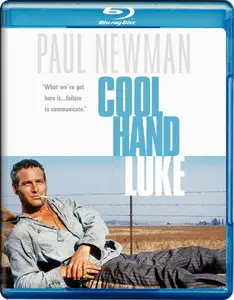 Cool Hand Luke (1967)