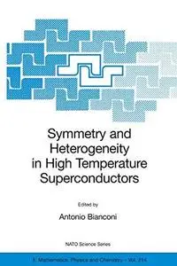 Symmetry and Heterogeneity in High Temperature Superconductors (NATO Science Series II: Mathematics, Physics and Chemistry)