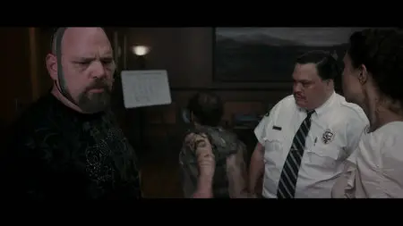 Flypaper (2011)
