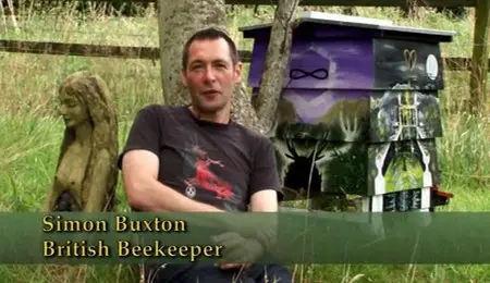Film4 - Vanishing of the Bees (2009)