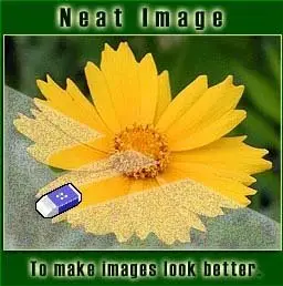 Neat Image Pro Plus Edition v5.9