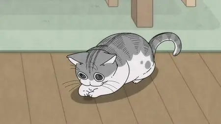 Nights with a Cat - 55
