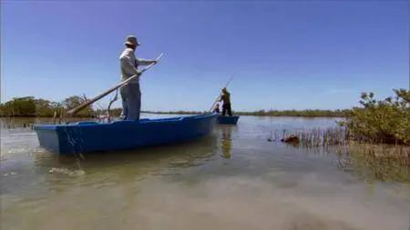 PBS Nature - Cuba: The Accidental Eden (2010)