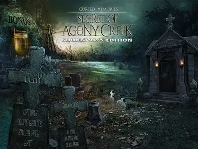 Cursed Memories: The Secret of Agony Creek Collector's Edition (Final)
