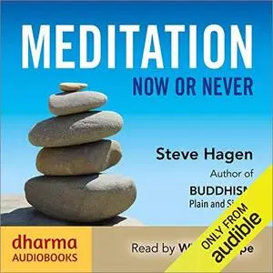 Meditation Now or Never [Audiobook]