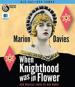 When Knighthood Was in Flower (1922)