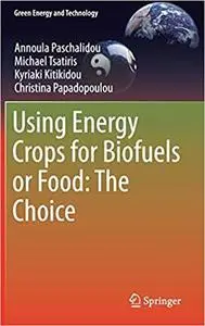 Using Energy Crops for Biofuels or Food: The Choice