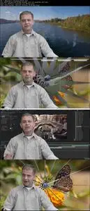 After Effects CC Complete Guide to Video Transitions Presets