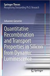 Quantitative Recombination and Transport Properties in Silicon from Dynamic Luminescence (Repost)