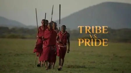 NG. - Tribe Vs Pride (2018)